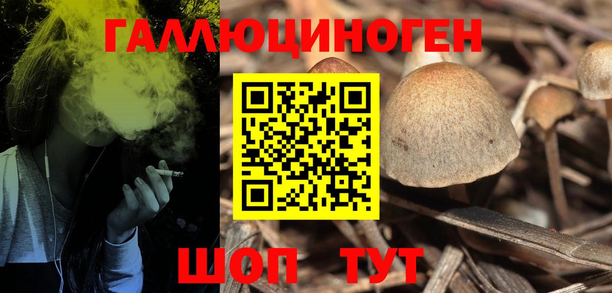 Менделеевск  Галлюциногенные грибы мицелий  Вход с VPN 